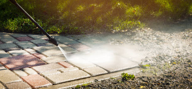 Best Gutter Cleaning  in Buchanan, GA